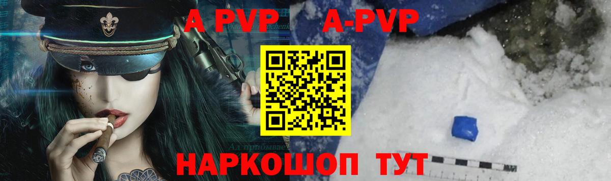 A PVP СК КРИС Солнечногорск