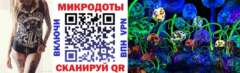 Галлюциногенные грибы Psilocybine cubensis  Солнечногорск 