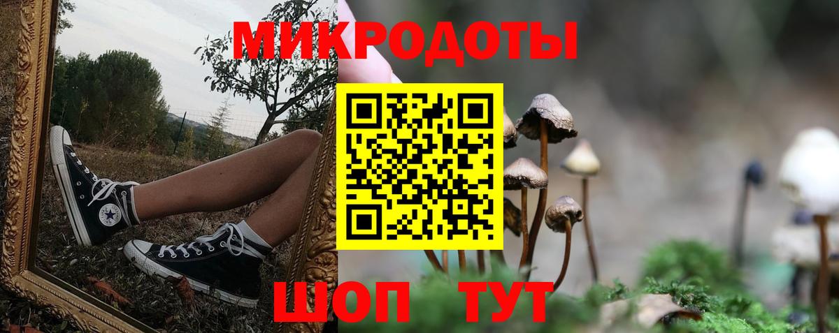 Солнечногорск  Галлюциногенные грибы прущие грибы  Вход с VPN 